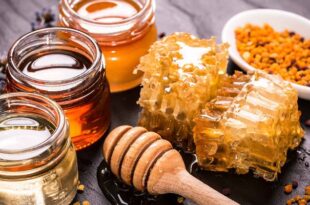 علاج سرعة القذف بالعسل والزنجبيل
